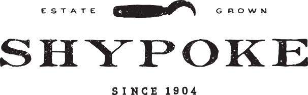 Shypoke logo