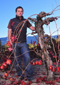 Peter Heitz stands next to a grape vine
