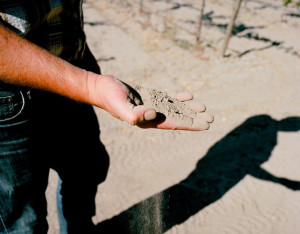 A man holds soil from the Shypoke vineyards